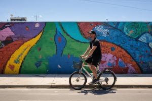 Cultural art district bike tour showcasing murals and sculptures
